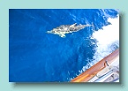 42_Starboard Escort